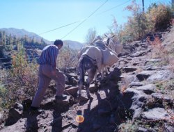 Halk mağdur belediye duyarsız