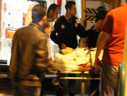 Hayvan otlatma kavgası: 3 yaralı