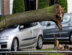 Avrupa’da fırtına felaketi: 13 ölü!