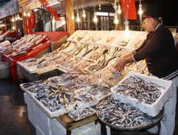 Şimdi balık yemenin tam zamanı