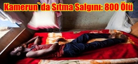 Kamerun`da Sıtma Salgını: 800 Ölü