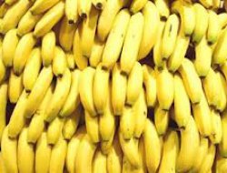 Muz üretiminde rekora doğru