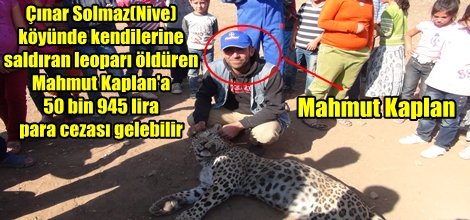 Leoparı öldürene soruşturma!