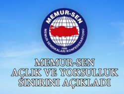 Memur Sen açılık sınırını açıkladı