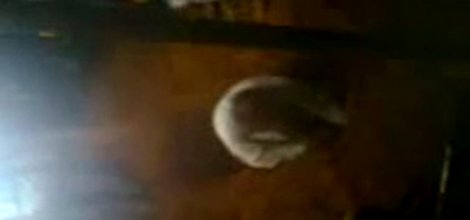 Mezardan 8 saat sonra canlı çıkartıldı video