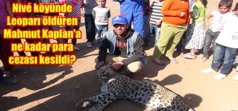 Leopar soruşturması tamamlandı