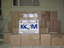 Şırnak'ta kaçakçılık baskınları