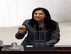 2013'te 78 karakol yapımına başlandı