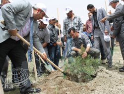 5 milyon öğrenciye 5 milyon fidan