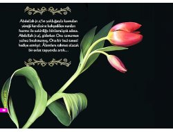 Nübüvvet Nurunu Bağrında Taşıyan Kadın; Hz. Amine (r.anha)