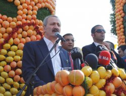 Dünya narenciye kongresi 2020'de Mersin'de olacak