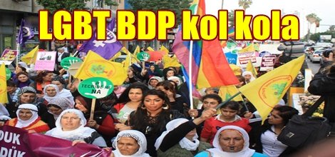 LGBT BDP kol kola