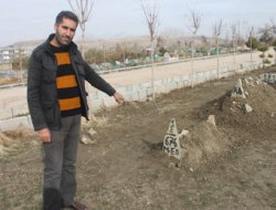 Densizliğin bu kadarına pes