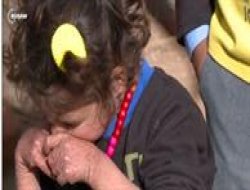 Zerik û sipih di kampa Quştepe de belav dibin VİDEO