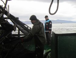 Kaçak avcılara ceza yağdı