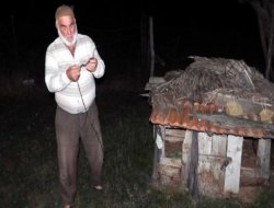 Köpek yiyen 'yaratık' korkusu