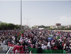 Kâhta, Muhammedi Sevdayla Coştu (Foto)