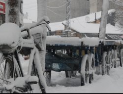 Ağrı'da 462 köy yolu kar nedeniyle ulaşıma kapandı