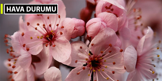 Türkiye geneli hava durumu