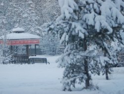 Doğu ve Güneydoğu Anadolu bu akşam kar yağış bekleniyor
