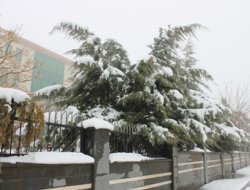 Diyarbakır' okullar tatil