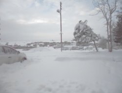 Çınar'da Yarında Okullar Tatil