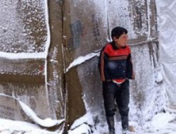 Lübnan'da mülteciler hayatta kalma mücadelesi veriyor!