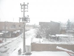 Çınar’da kar yağışı tekrar başladı