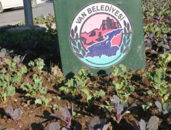 Van Belediyesi'nin seçim yatırımı kar altında kaldı