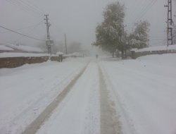 İdil'in köylerinde hayat durma noktasına geldi