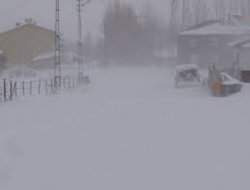 Devlet nerede? Şırnak'ta köylüler perişan…