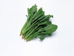 Şifa kaynağı bitkiler