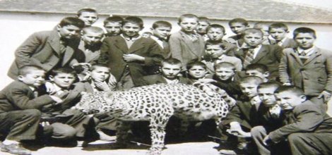 Katili belli son leopar