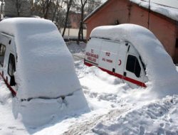 Welat Di Bin Berfê De Ma