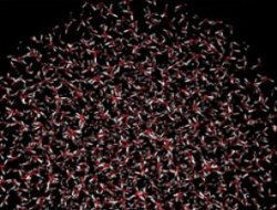 Su, artık bir salisede kaynayacak!