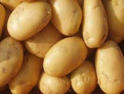 Patateste fiyat istikrarsızlığı halkı mağdur ediyor