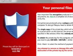 Fidyeci Virüs Türkiye'ye de Bulaştı