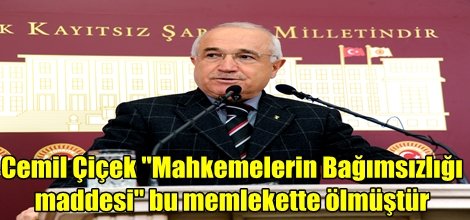 Cemil Çiçek: O Madde Öldü