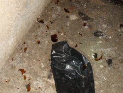 HÜDA PAR üyesinin evine bombalı saldırı düzenlendi