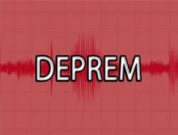 Van Yine Depremle Sarsıldı