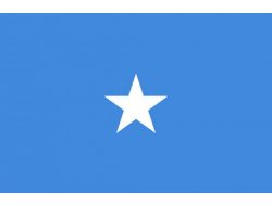 Somali'de İki Milletvekili Öldürüldü