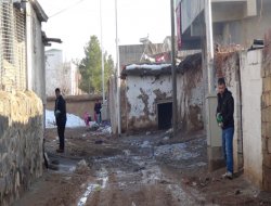 Hüda Par Çınar’da kapı-kapı dolaşarak parti programı dağıttı