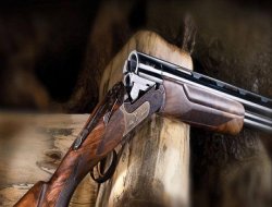 Li Kirmaşanê xortekî dayika xwe û 3 birayên xwe kuşt