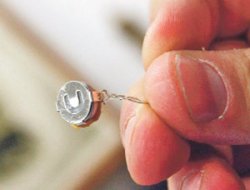 Başbakan`ın odasındaki böceğin ucu Yargıtay`da çıktı