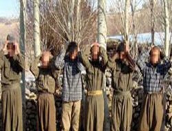Şırnak`ta 9 PKK`lı teslim oldu