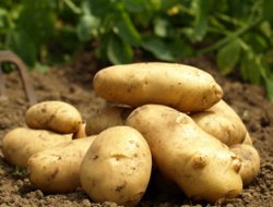 Hükümetin Attığı Adım Stokçuları Tedirgin Etti