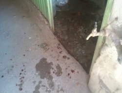 Viranşehir'de Kavga: 2 Yaralı