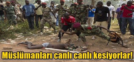 Müslümanları canlı canlı kesiyorlar