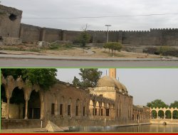 Urfalılar, Ankara ve İzmirlileri Solladı