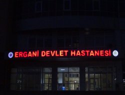 Ergani'de eski eşiyle kocasını silahla vurdu